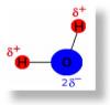 représentation de l'électronégativité dans la molécule d'eau